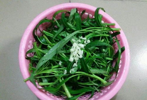 艾蒿的功效与作用有哪些？看完这篇你就全知道啦