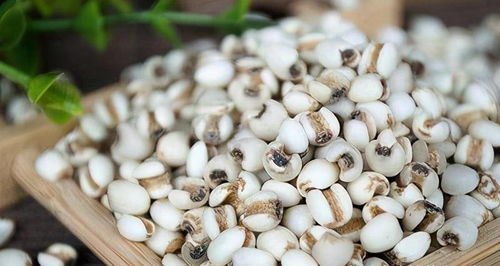 种植日记与避坑指南