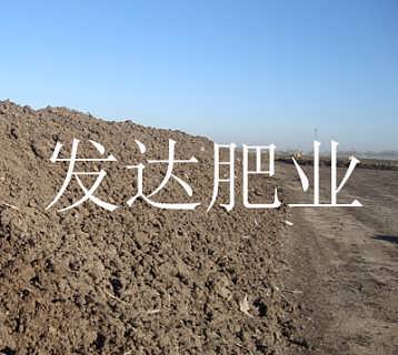 鸡粪的“变身术”：从鸡舍到菜园