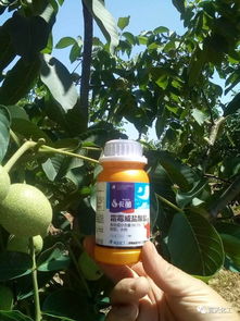 1. 露娜森与咪鲜胺的搭配