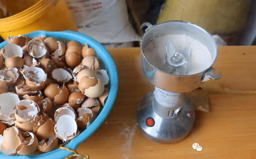 蛋壳粉的妙用，你了解多少？