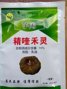 注意事项