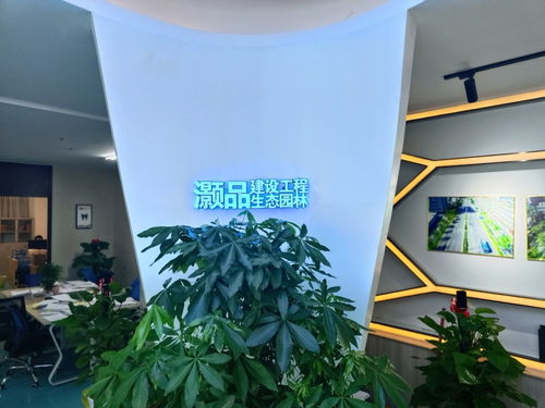 经济效益与环保双赢