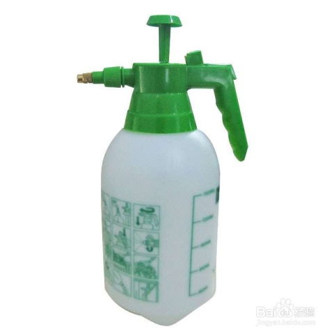 技巧一：选择合适的喷壶