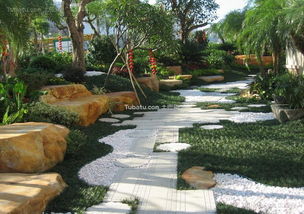 耐寒耐旱，这些植物你不可不知！