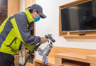 除甲醛，你得先知道这些