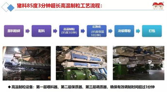 频繁换饲料会导致易发病吗？饲料使用技巧有哪些？