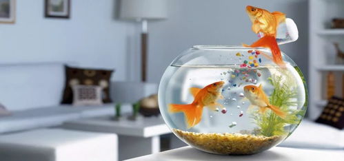 提前准备，心里不慌