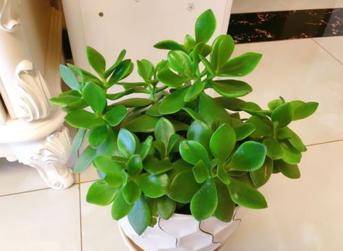 2. 迷你酒精喷瓶