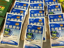生根粉和生根剂哪个生根效果更好？