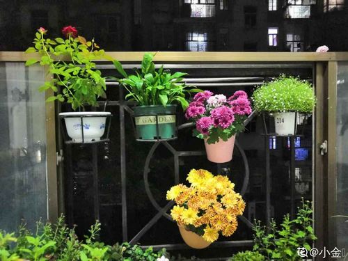 虾头、 蟹腮的花盆秘密