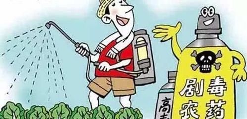 使用农药残留测定仪， 注意事项多