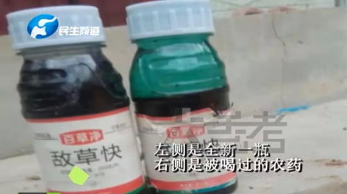 误喝百草枯后的反应时间