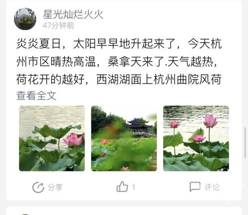 草种大揭秘：哪种草嫩抗旱又省钱？