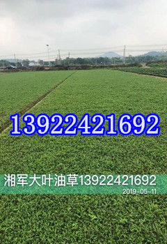 种植时间要把握