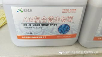 线虫侵入根部， 使根尖膨大变为纺锤形或不规则的根结