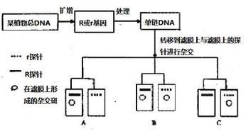 碱化反应，它对环境有啥影响？