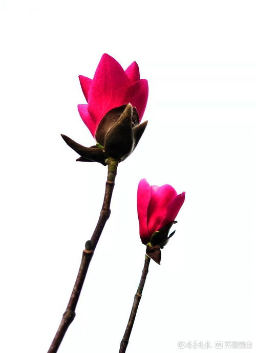 3. 水分，它喝饱了没？