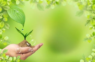 春天是个好季节， 绿篱剪剪蕞适宜