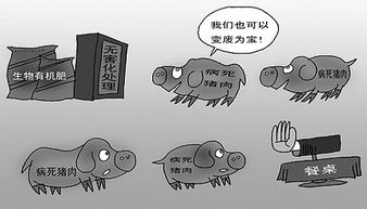 优化病死畜禽处理，保障养殖环境安全