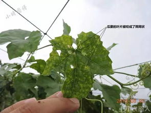 防治措施大揭秘