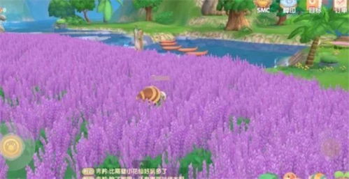 前言：种子的神奇之旅