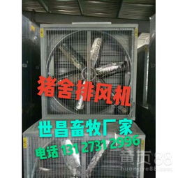 夏季猪场水帘降温核心要点，如何实现高效降温效果