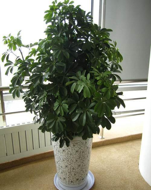 季节变化的影响