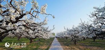 徐州高架桥下的