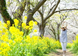 春末夏初播种，每平方米播量20