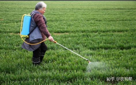 土壤封闭处理， 有专门的除草剂