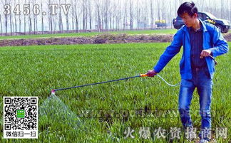 多种除草剂， 各有千秋