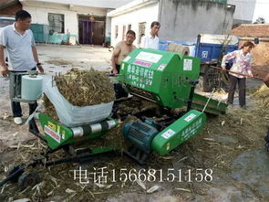 秸秆饲料处理：粉碎、发酵、青贮