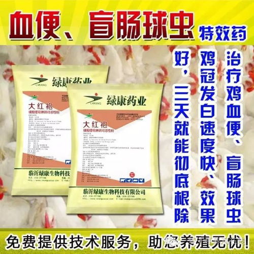 正大饲料2026年价格表显示，正大小鸡饲料价格相比2025年上涨了多少？