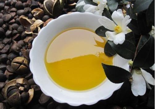 三江茶油多少钱一斤？朵朵贝儿山茶油价格一览