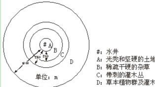 刺沙蓬：探其生物特性、生态益处与农业风险
