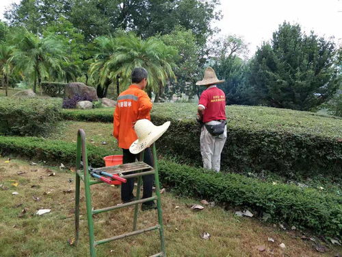 人性化设计：让园林梗贴近生活