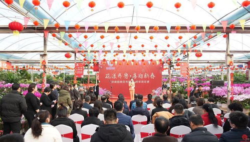 探寻西安园林花市场