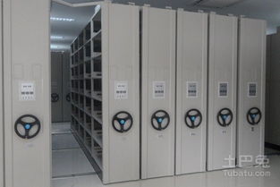 铁皮枫斗种植：土壤与环境的秘密