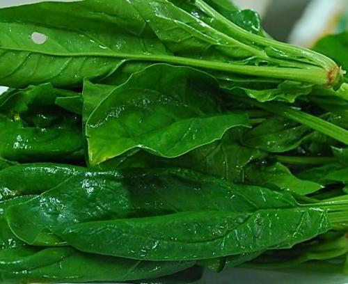 日常管理，不可马虎