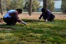 邯郸体育中心的绿茵战士