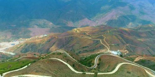 贵州某石漠化山区用这招，把治理成本从每亩3000元压到500元。他们的秘方是：每平米掺200克刺槐碎枝，形成天然保水层。