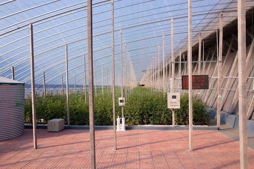 二氧化碳发生器助力大棚高效种植，提升农资效益