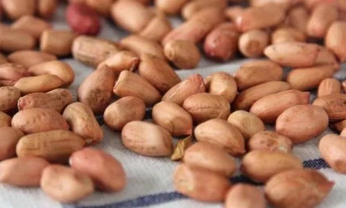 花生种植新法：乐果农药拌种揭秘