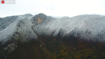 巫山梨子， 石和种子，重庆梨子到处者阝是哦