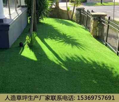 10月份草皮价格大揭秘，你不可不知的真相！