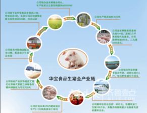 打造绿色猪肉产业链，确保养殖无污染
