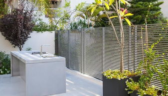 玉兰花：洁白的花朵， 清新的气息