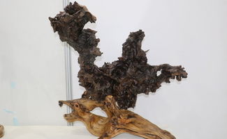 生铁，是树花的颜料吗？