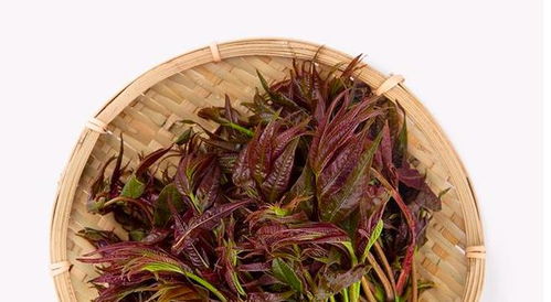 古时的珍馐名菜